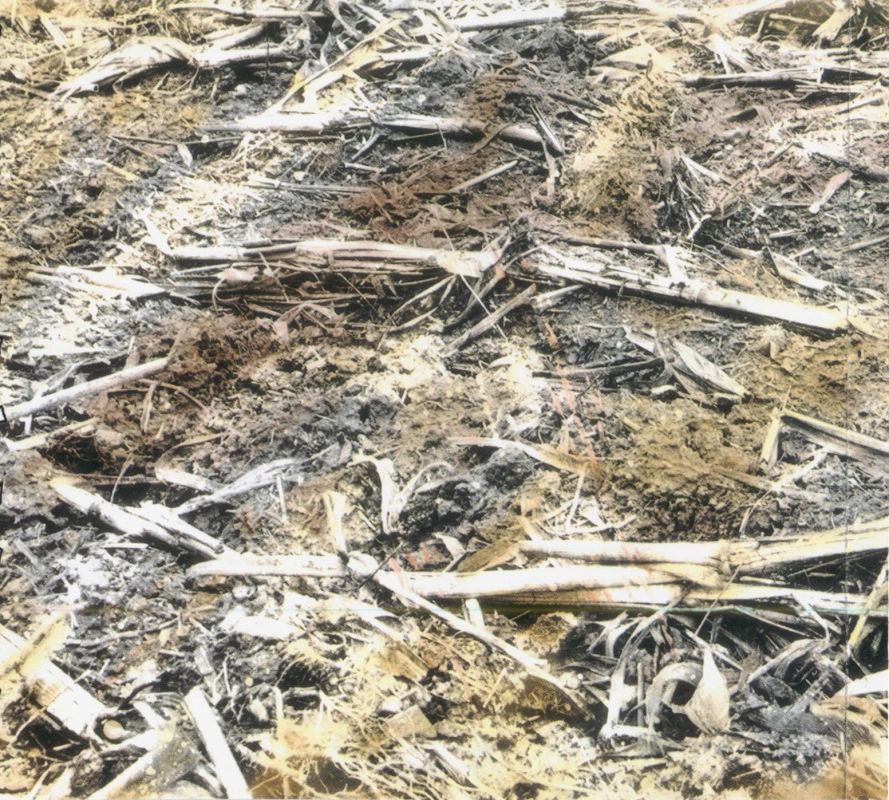 Our Lady Peace  Naveed  inlay